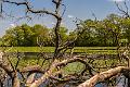 2018_04_21_La campagne de Cercy La Tour (0002)